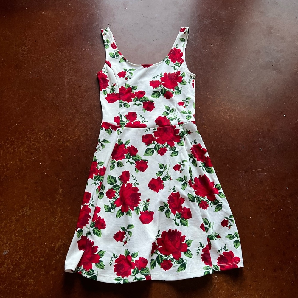 NWT Floral Fit and Flare Sundress
